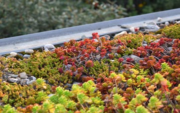 the cost of Cherrytree Hill green roof installation