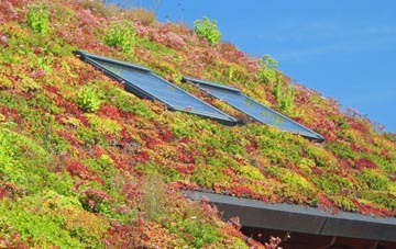 Cherrytree Hill living roof systems